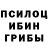 Псилоцибиновые грибы Psilocybe myxa228 __