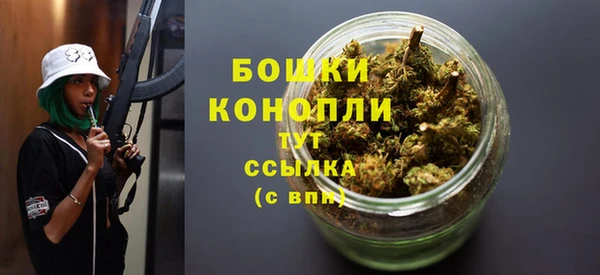 2c-b Краснослободск