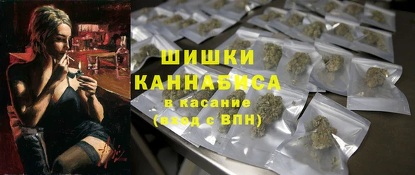 2c-b Краснослободск